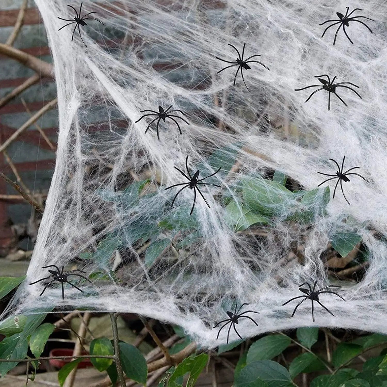Spiders on a web with a blurred background